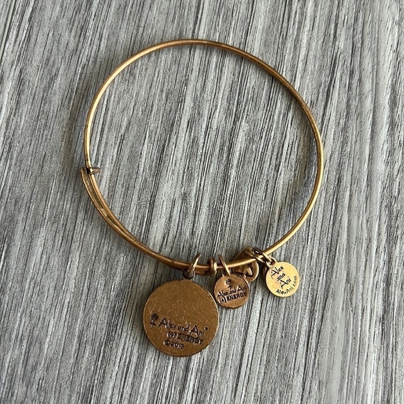 Alex and Ani Army Bangle Gold 2013 - Picture 3 of 7